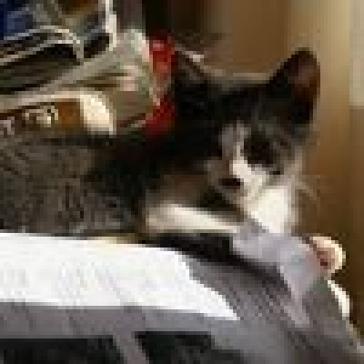 Anne  is looking for a Room in Arnhem