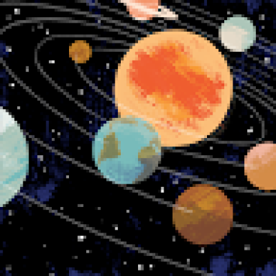 Roos zoekt een Kamer / Appartement / Huurwoning in Arnhem