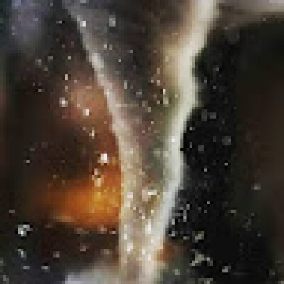 Andries zoekt een Appartement / Huurwoning in Arnhem