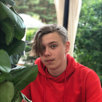 Dovydas zoekt een Kamer in Arnhem