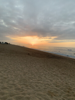 Berenice zoekt een Kamer / Appartement / Huurwoning in Arnhem